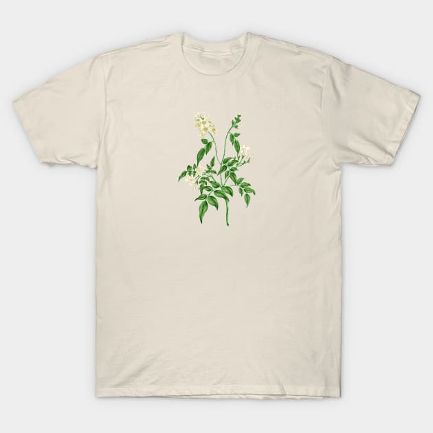 Jasmine 2 Botanical T-Shirt by Salfiart